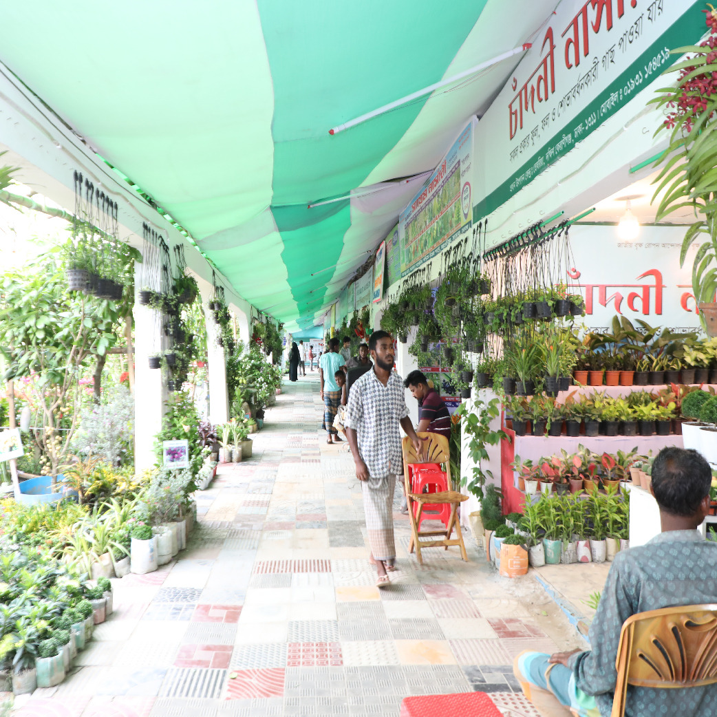 জমে উঠেছে জাতীয় বৃক্ষ মেলা ২০২৪