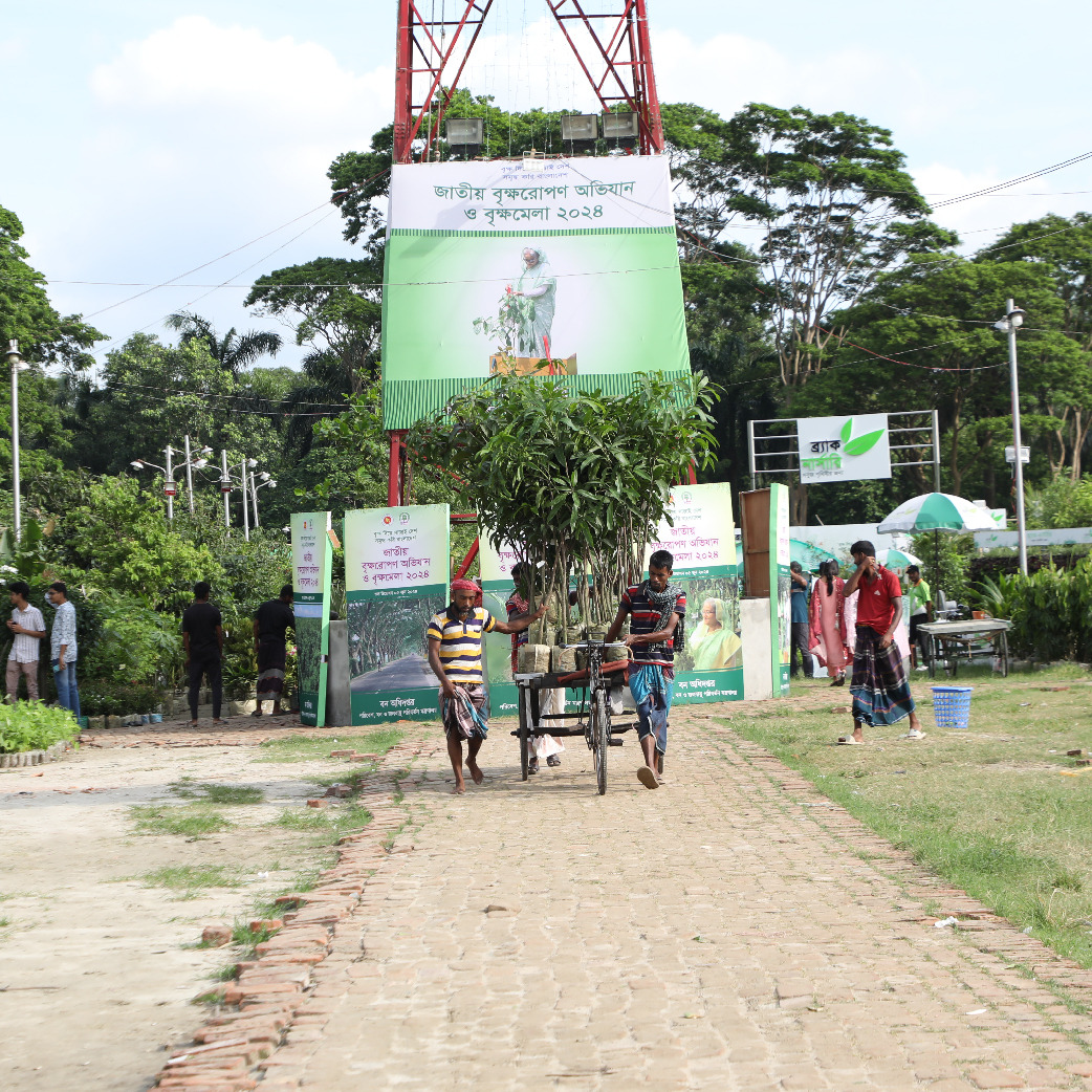 জমে উঠেছে জাতীয় বৃক্ষ মেলা ২০২৪