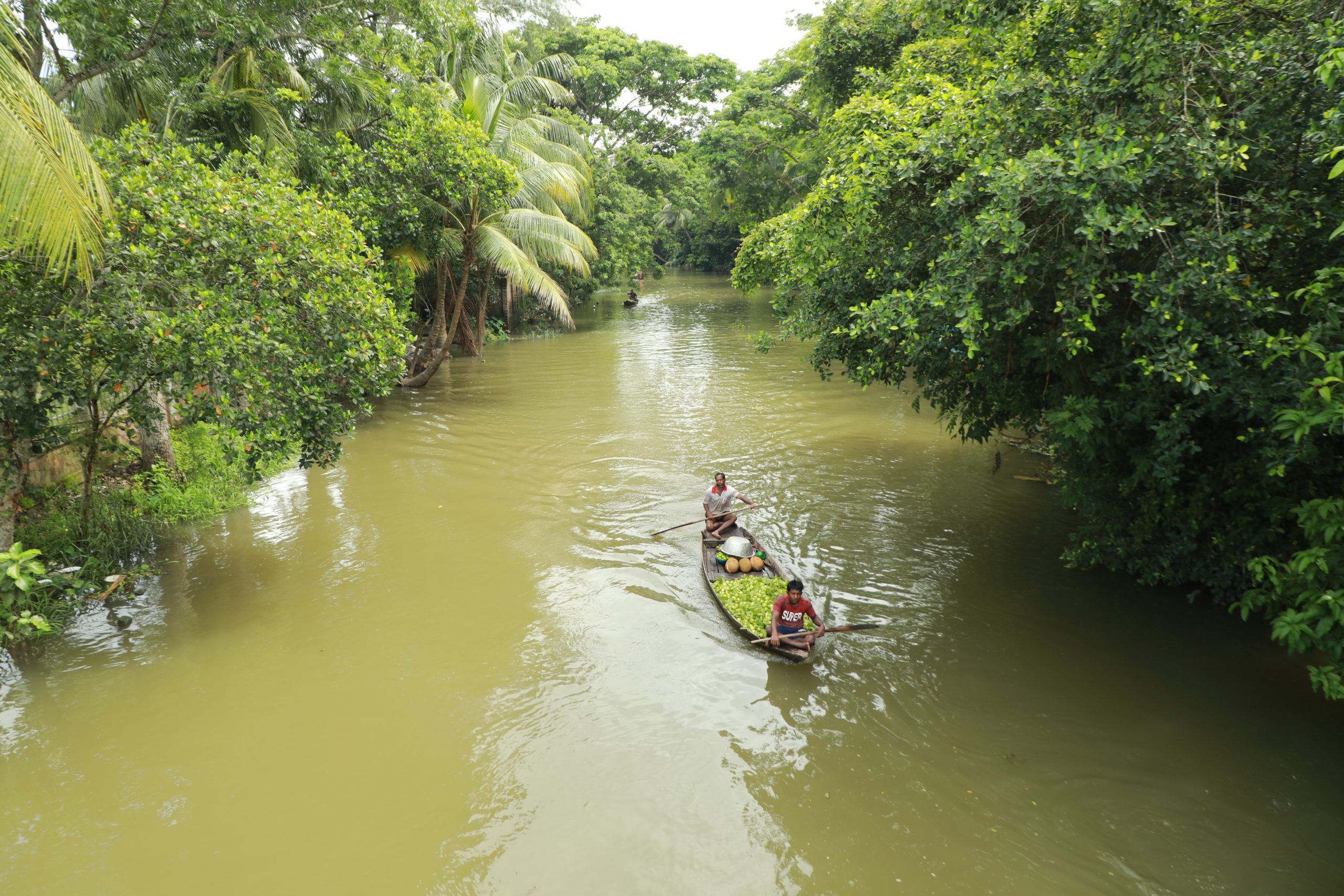 পেয়ারা বাগান ও ভাসমান বাজার ঘিরে পর্যটকের ভিড় prokritibarta