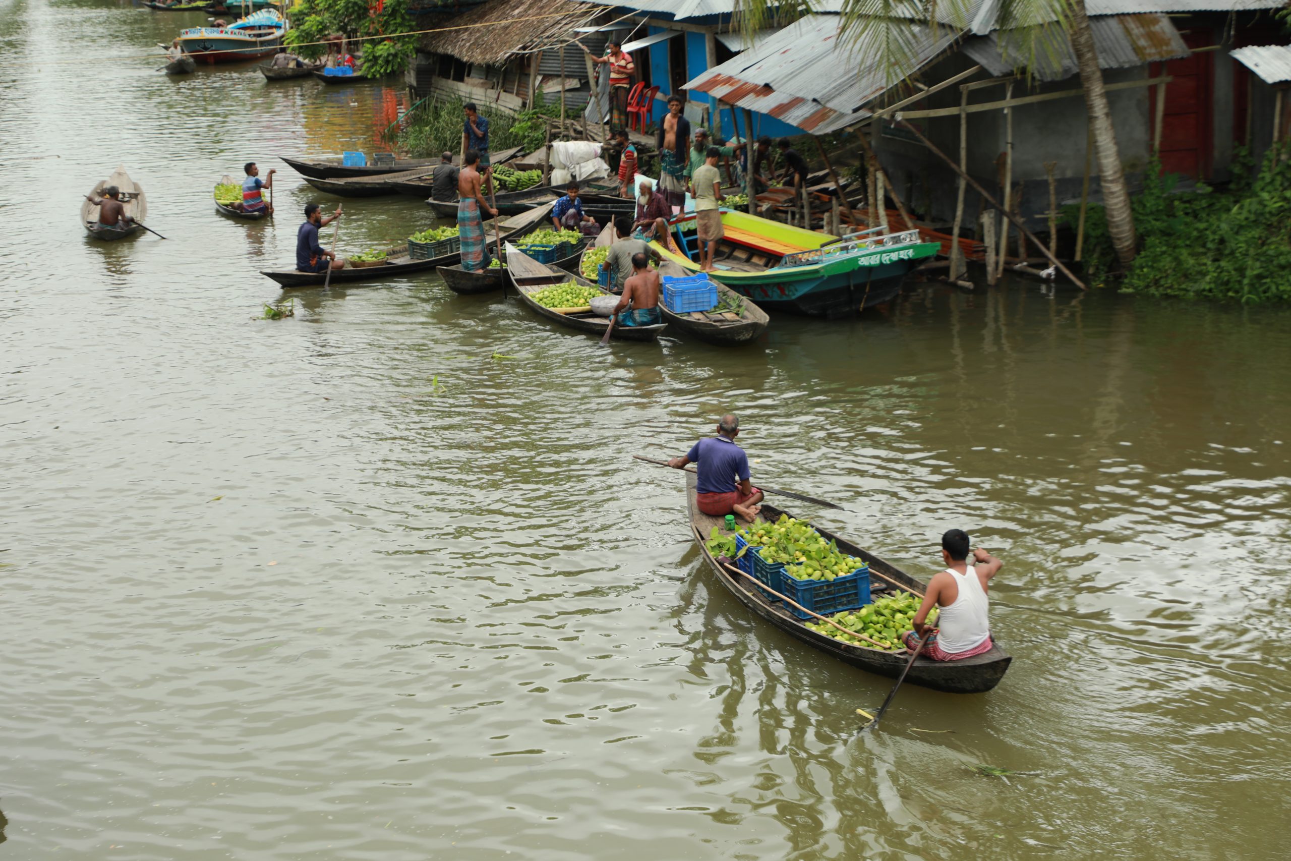 পেয়ারা বাগান ও ভাসমান বাজার ঘিরে পর্যটকের ভিড় prokritibarta