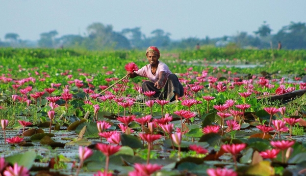 রূপসী বাংলার বর্ষাকাল prokrtibarta