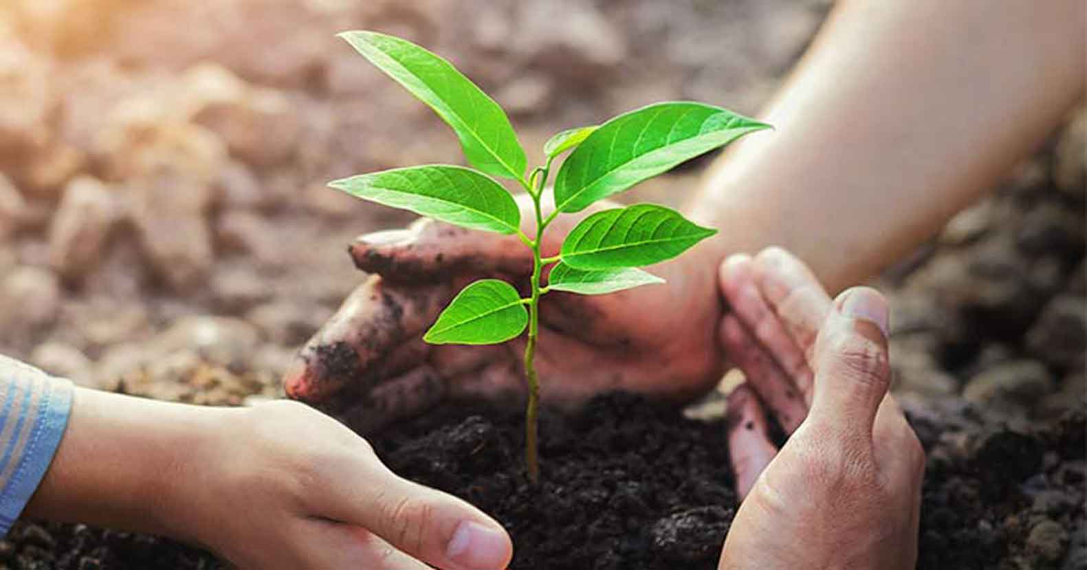 রূপসী বাংলার বর্ষাকাল prokritibarta