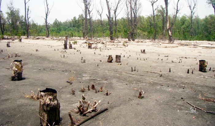 ‘বালু বিপদে’ সুন্দরবন prokritibarta