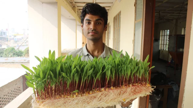 মাটি ছাড়া ঘাস উৎপাদনে সক্ষম খুলনা বিশ্ববিদ্যালয় গবেষক দল prokritibarta