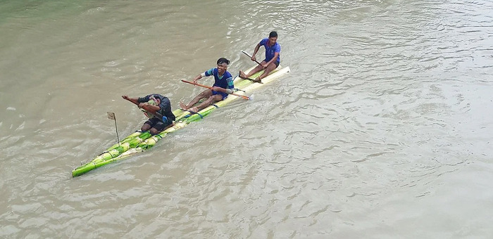 গৃহপালিত এক নদী prokritibarta