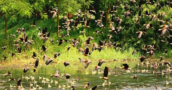 মনের সুর মিশেছে যার পাখির সুরে prokritibarta