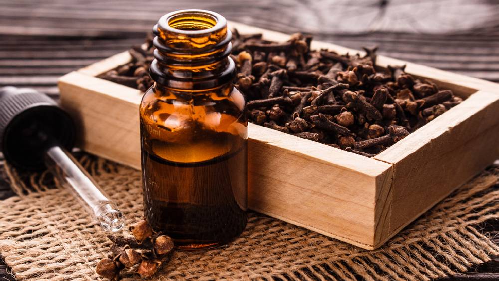 প্রাকৃতিক মশা নিরোধক হতে পারে লবঙ্গ prokritibarta