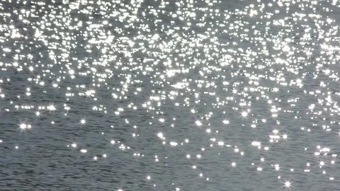 ঝিলমিল ঝিলমিল ঝিলের জলে prokritibarta, Prokriti O Jibon Foundation