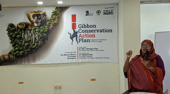 দেশে মহাবিপন্ন উল্লুক রক্ষায় পরিকল্পনা শুরু prokritibarta