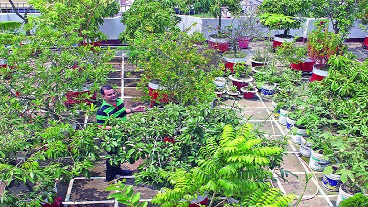 টবের মাটিতে চাল ধোয়া পানি ব্যবহারের উপকারিতা।