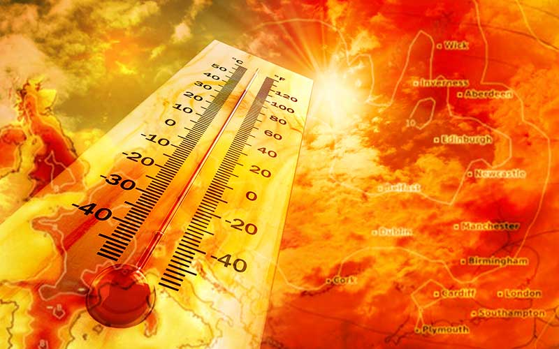 ২০২৪ সাল হতে যাচ্ছে বিশ্বের উষ্ণতম বছর prokritibarta