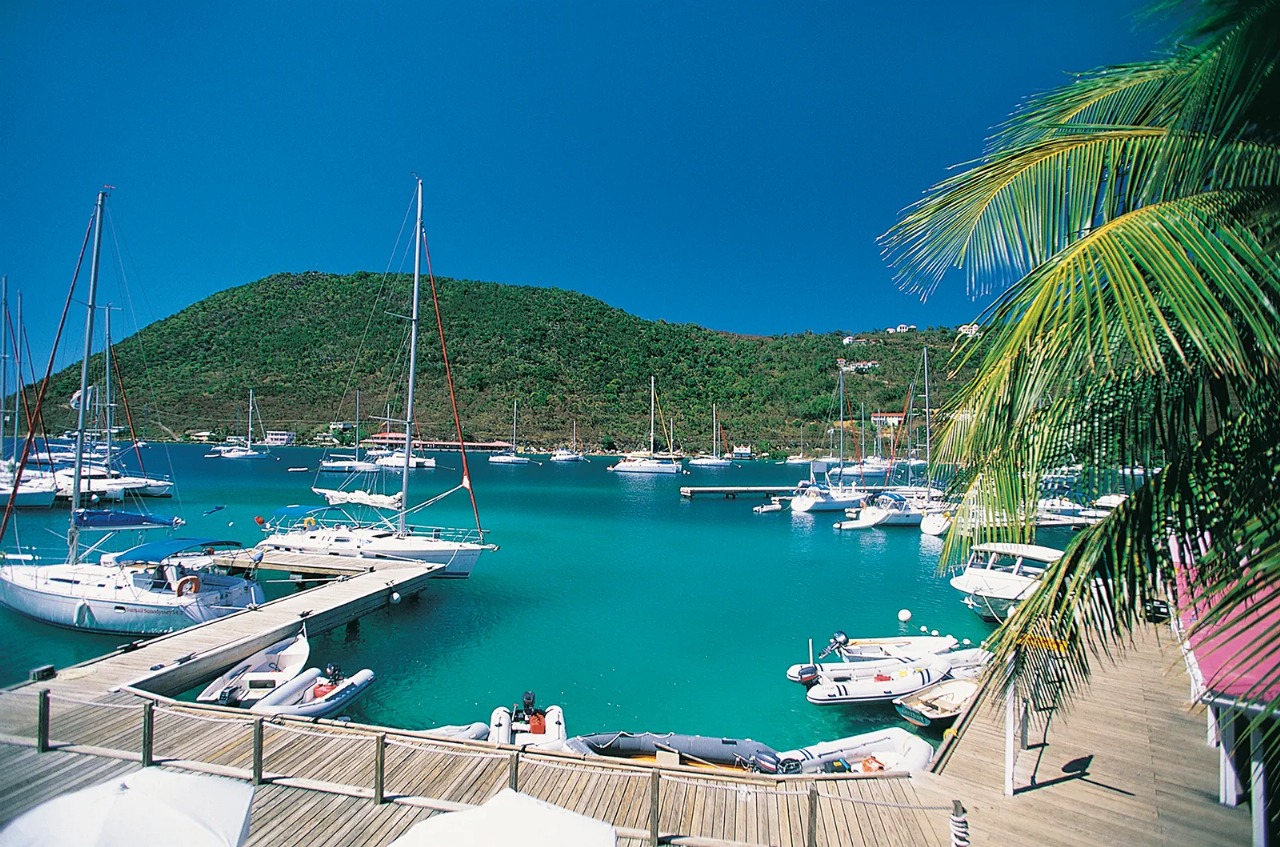 ব্রিটিশ ভার্জিন দ্বীপপুঞ্জে ব্যবসায়ীরা কেন বিনিয়োগ করেন? prokritibarta