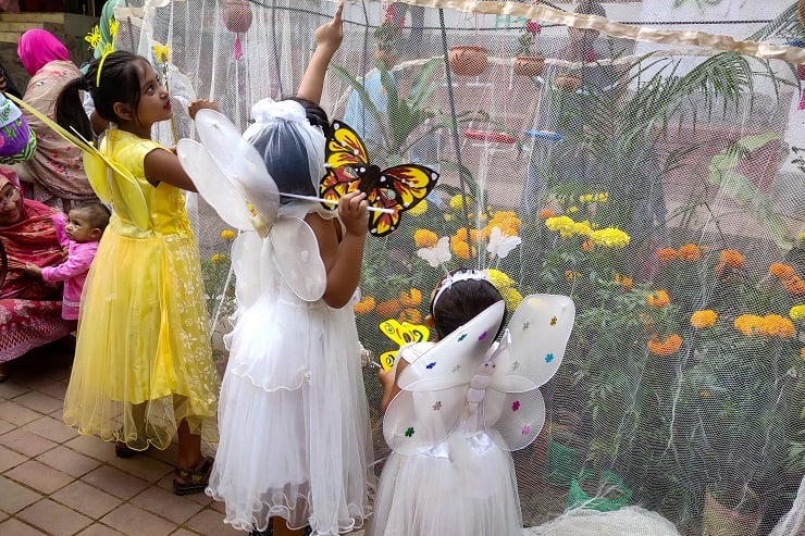 বর্ণিল আয়োজনে জাহাঙ্গীরনগর বিশ্ববিদ্যালয়ে ১৪তম প্রজাপতি মেলা prokritibarta butterfly