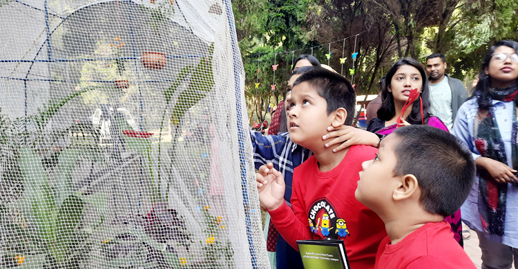 বর্ণিল আয়োজনে জাহাঙ্গীরনগর বিশ্ববিদ্যালয়ে ১৪তম প্রজাপতি মেলা prokritibarta butterfly