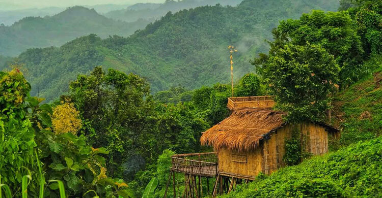 পাহাড় ও মেঘের রাজ্যে হারিয়ে যেতে ঘুরে আসুন মিরিঞ্জা ভ্যালি prokritibarta