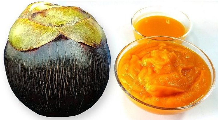 পাকা তাল বাংলার সংস্কৃতি ও সাহিত্য prokritibarta